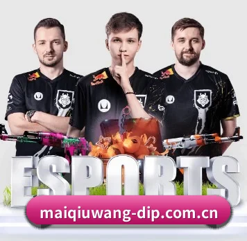 AI 革新(maiqiuwang)
